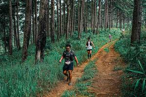 BIB: 
                            <button type="button" onclick="openModal(25705667)" class="btn btn-primary btn-sm float-right btn-popup" data-toggle="modal" data-target=".modal-high-quality">
                        <i class="fas fa-shopping-cart"></i> Add to Cart
                    </button>
                                            <button type="button" onclick="isThisMe(25705667, true)" class="btn btn-success btn-sm float-right btn-popup btn-isme hidden" data-toggle="tooltip" data-placement="bottom" title="นี่คือรูปของคุณใช่ไหม คลิกที่นี่เพื่อเอาเข้าอัลบั้ม">
                        <i class="fas fa-plus"></i> Add to album
                    </button>
                    <button type="button" onclick="isThisMe(25705667, false)" class="btn btn-warning btn-sm float-right btn-popup btn-isnotme hidden">
                        <i class="fas fa-ban"></i> Remove from album
                    </button>